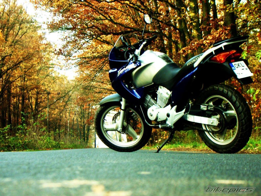 2005 HONDA XLV 125 VARADERO | Picture 1832705 motorcycle photo