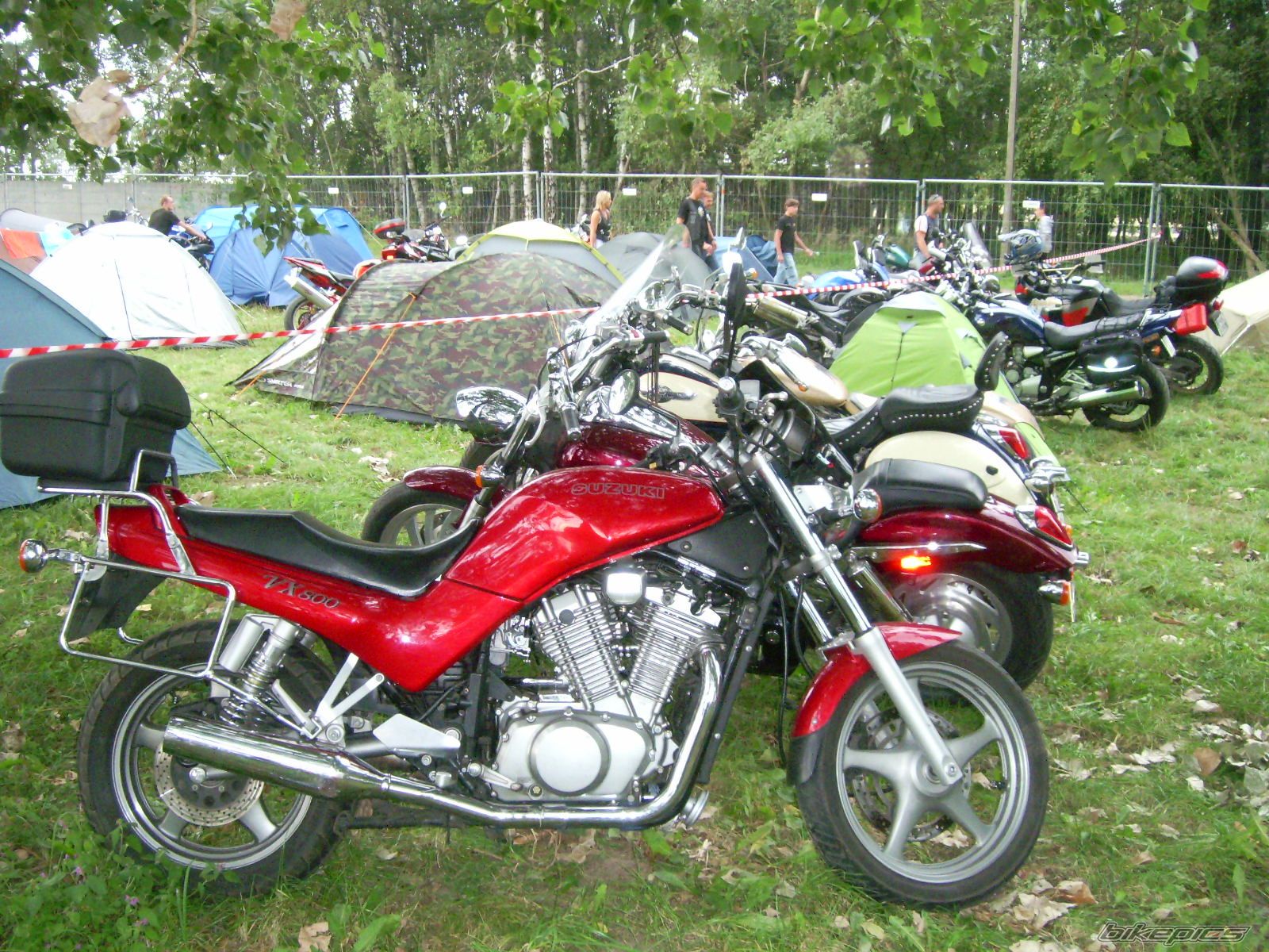 1992 SUZUKI VX 800 | Picture 1833087 motorcycle photo