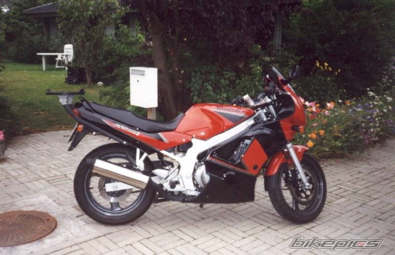 1999 SUZUKI GS 500 | Picture 18336 motorcycle photo