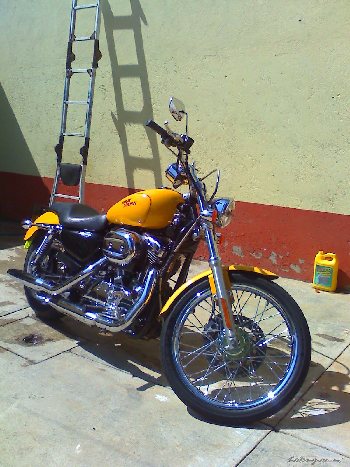 2007 HARLEY DAVIDSON XL 1200 C | Picture 1834280 motorcycle photo