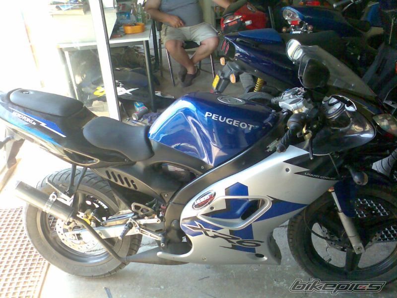 2004 PEUGEOT XR6 | Picture 1834661 motorcycle photo