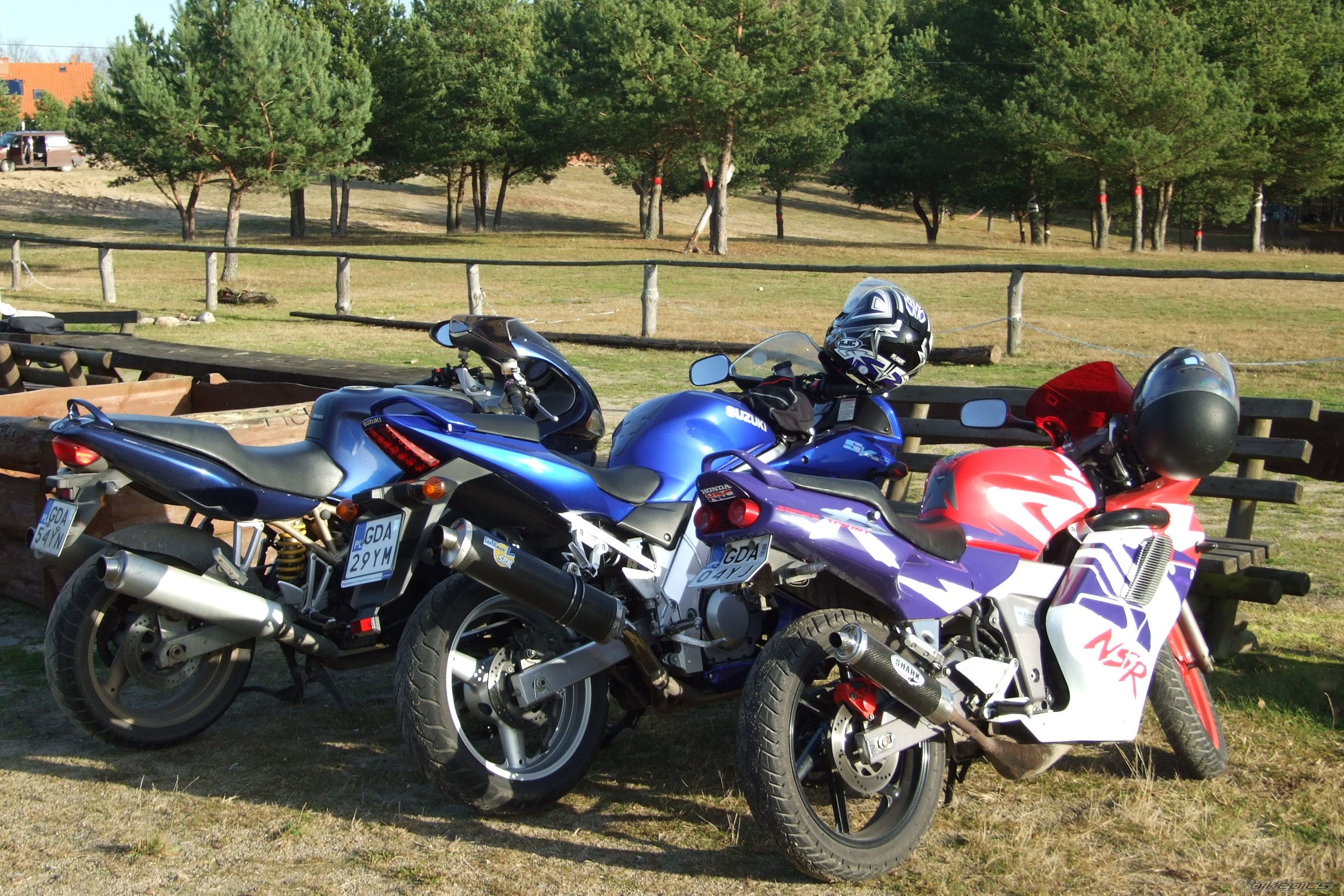 2004 SUZUKI SV 650S | Picture 1835054 motorcycle photo