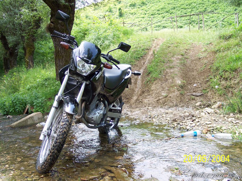 2004 HONDA NX 4 FALCON | Picture 183508 motorcycle photo
