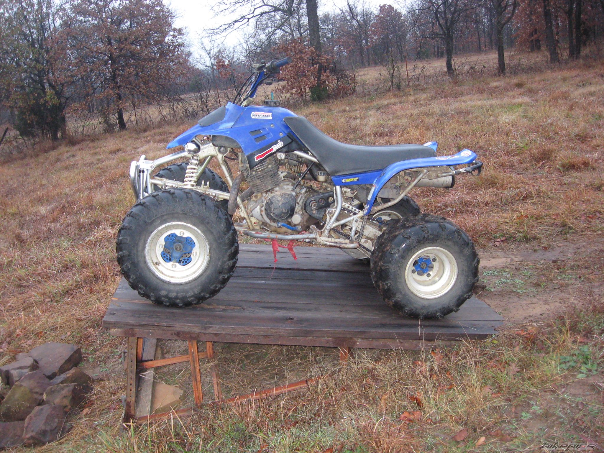 2000 YAMAHA WARRIOR | Picture 1835119 motorcycle photo