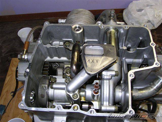 1999 YAMAHA YZF R1 | Picture 183600 motorcycle photo