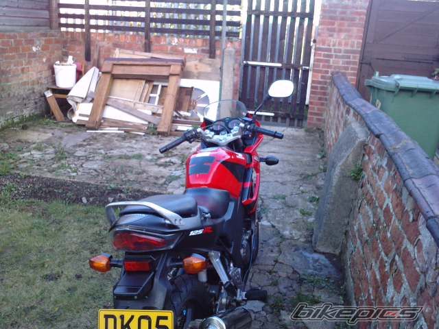 2005 HONDA CBR 125 | Picture 1836041 motorcycle photo