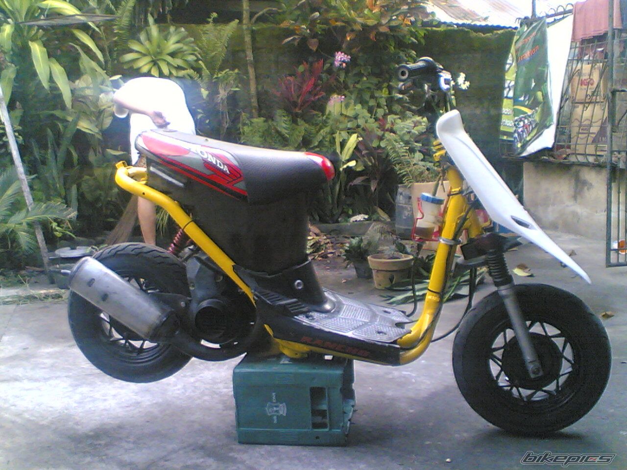 2009 HONDA DIO 50 | Picture 1836099 motorcycle photo