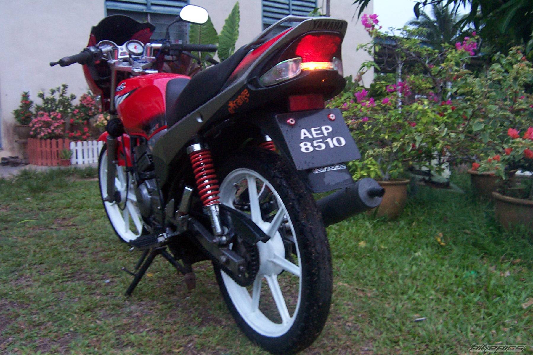 2003 YAMAHA RXZ 135 | Picture 183641 motorcycle photo