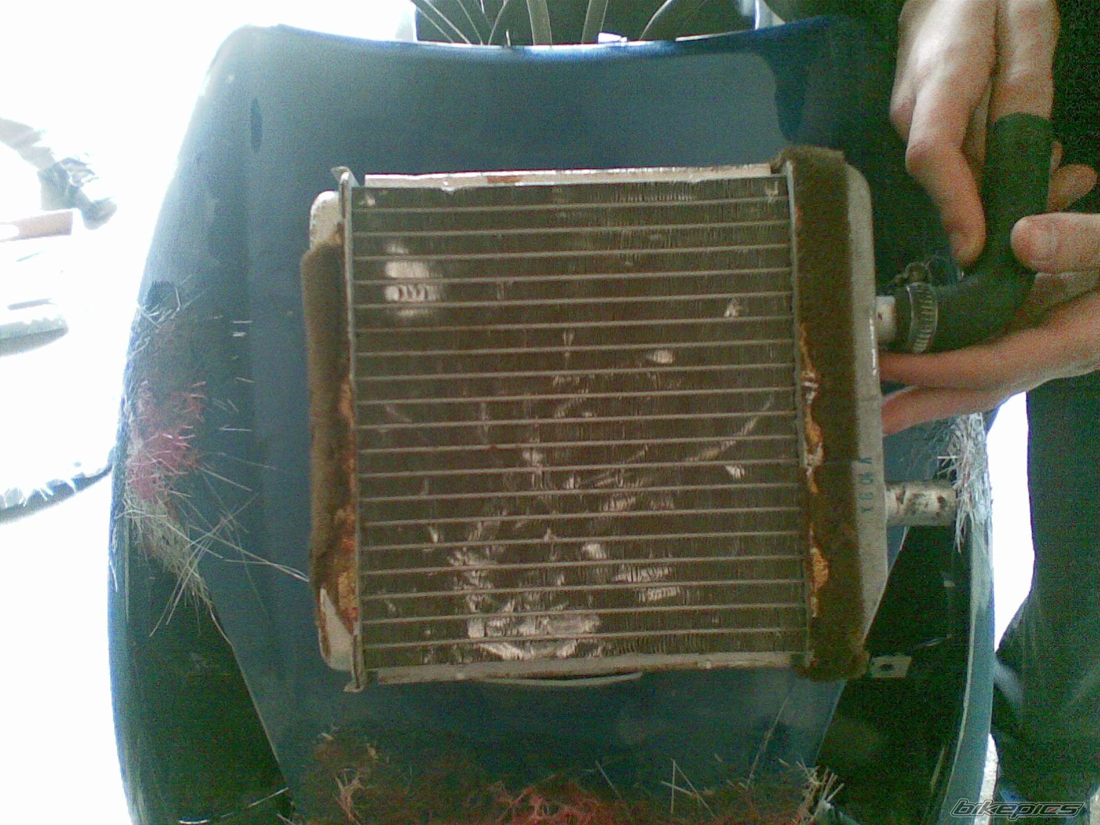   | Picture 1836483 motorcycle photo