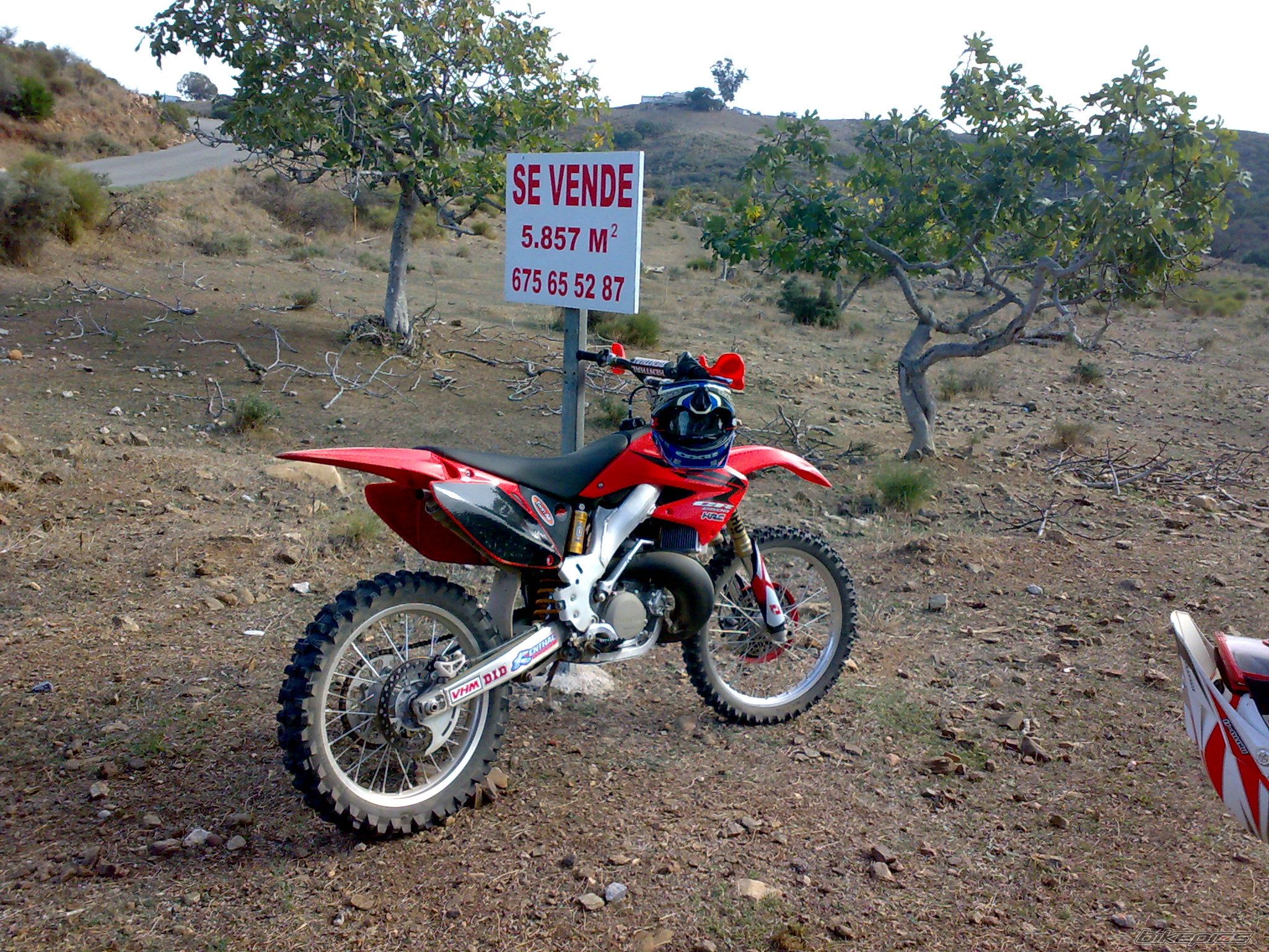 2009 HONDA CR 250 | Picture 1836663 motorcycle photo