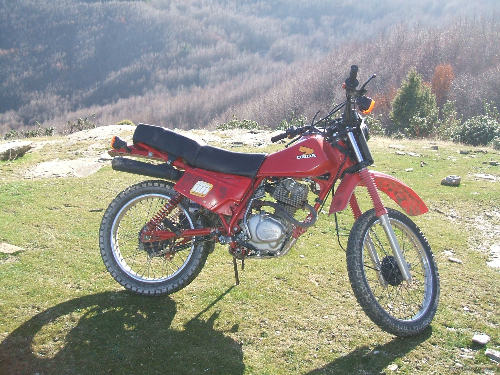 1991 HONDA XL 185 | Picture 1837355 motorcycle photo