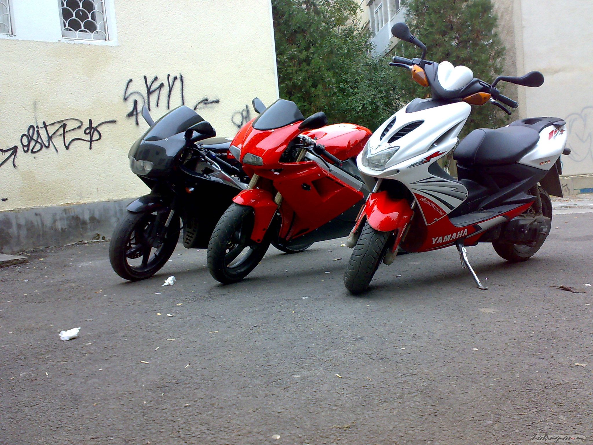 2005 APRILIA RS 125 | Picture 1837409 motorcycle photo
