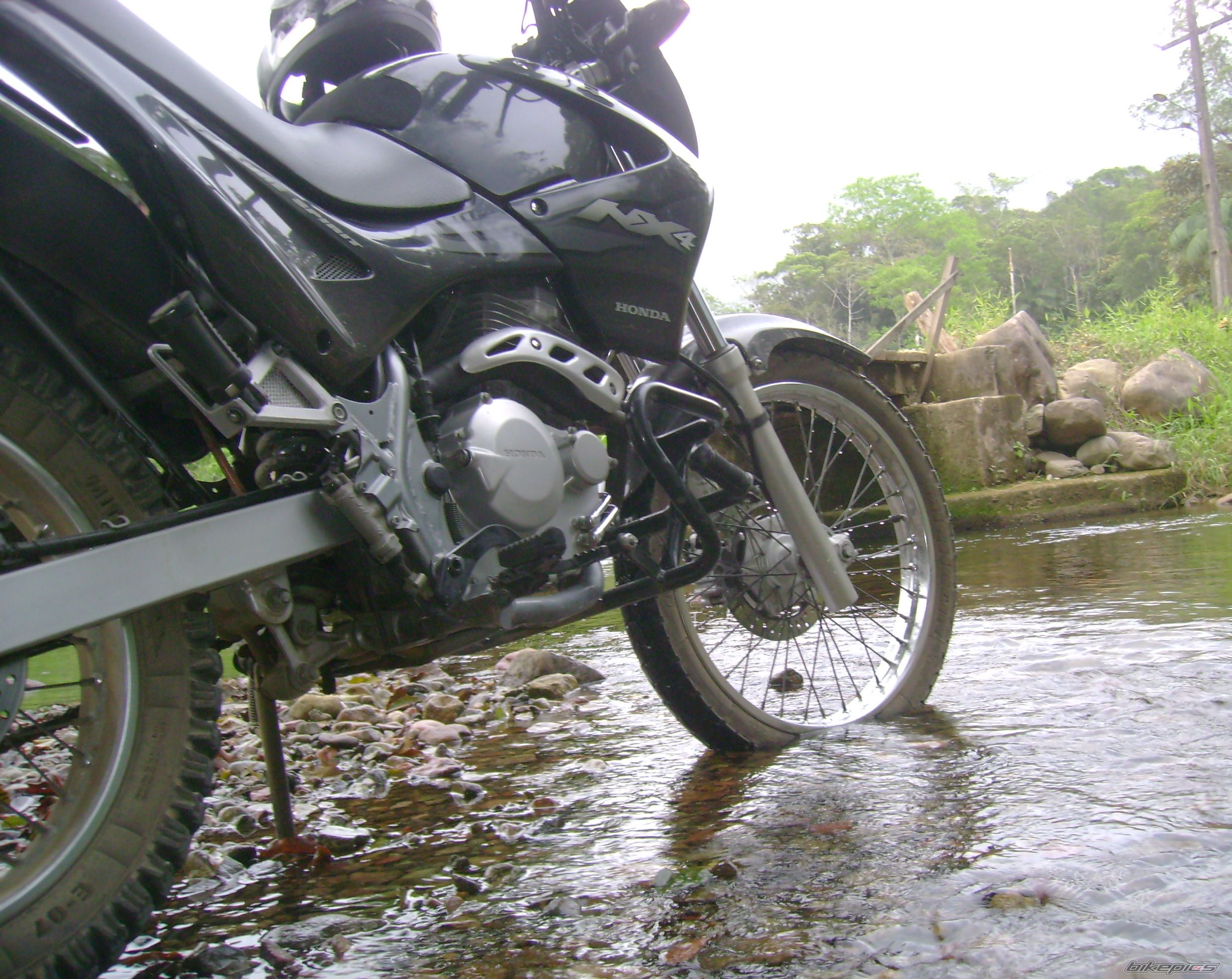 2002 HONDA NX 4 FALCON | Picture 1837546 motorcycle photo