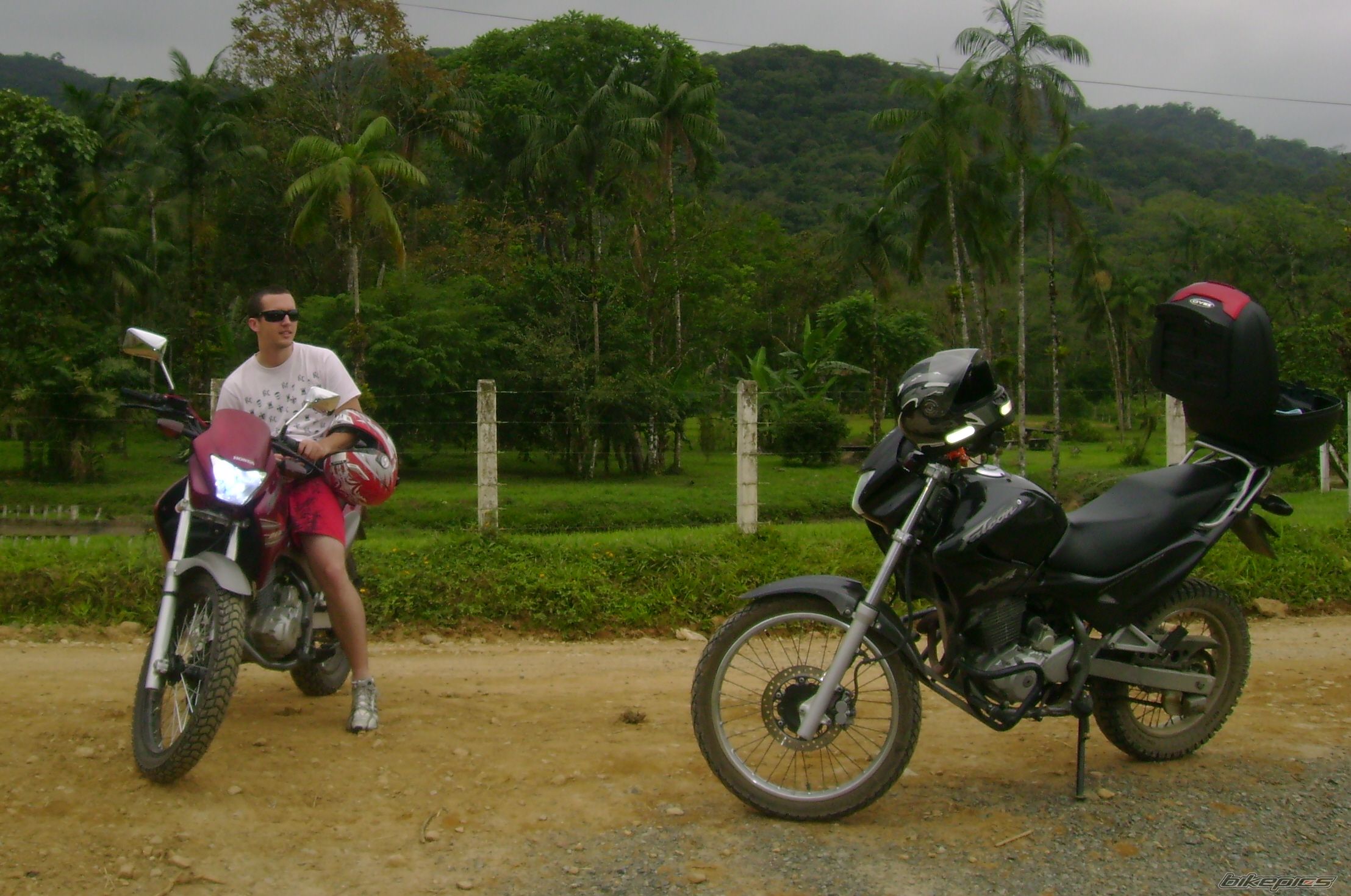 2002 HONDA NX 4 FALCON | Picture 1837560 motorcycle photo