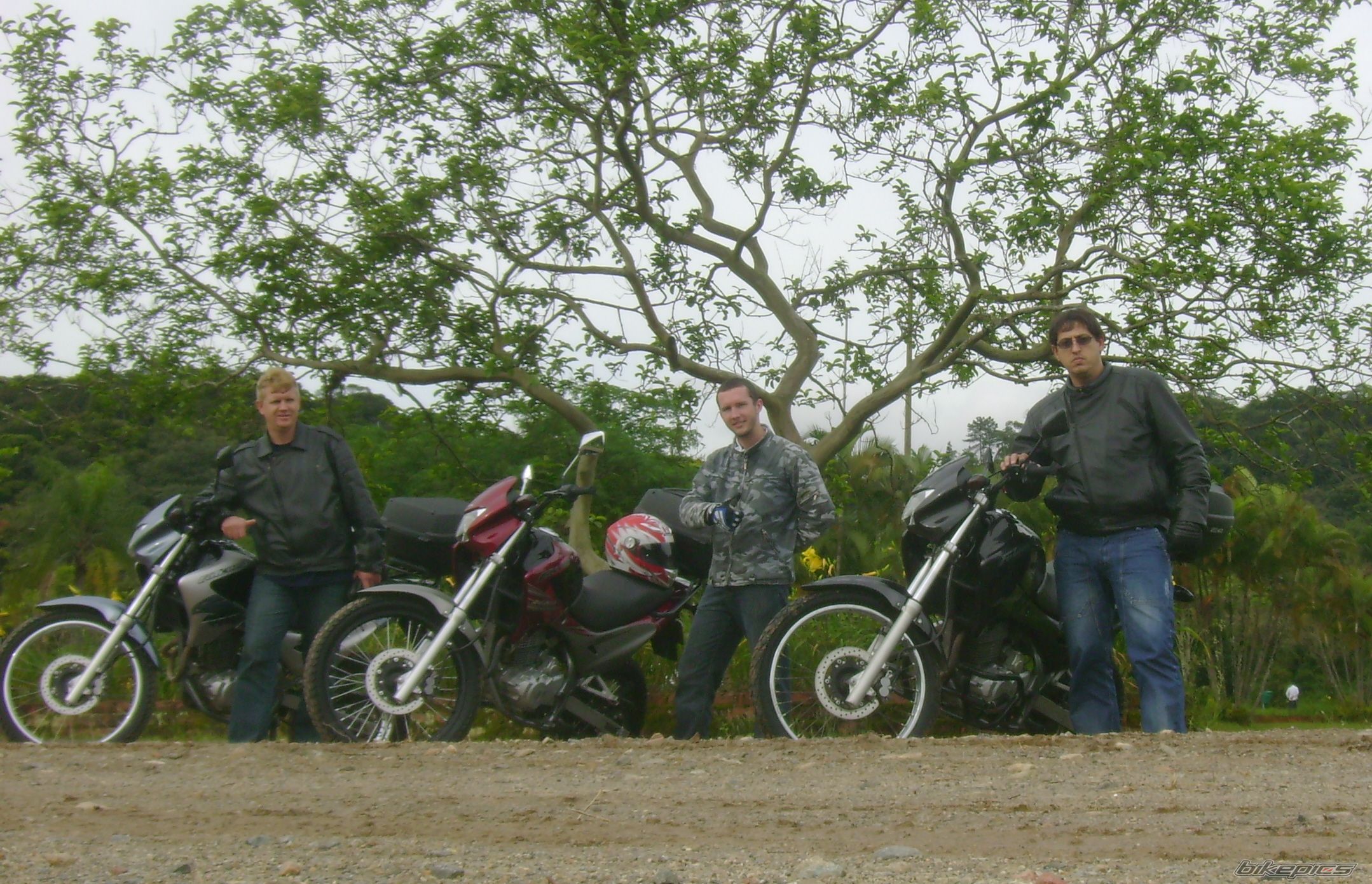 2002 HONDA NX 4 FALCON | Picture 1837681 motorcycle photo