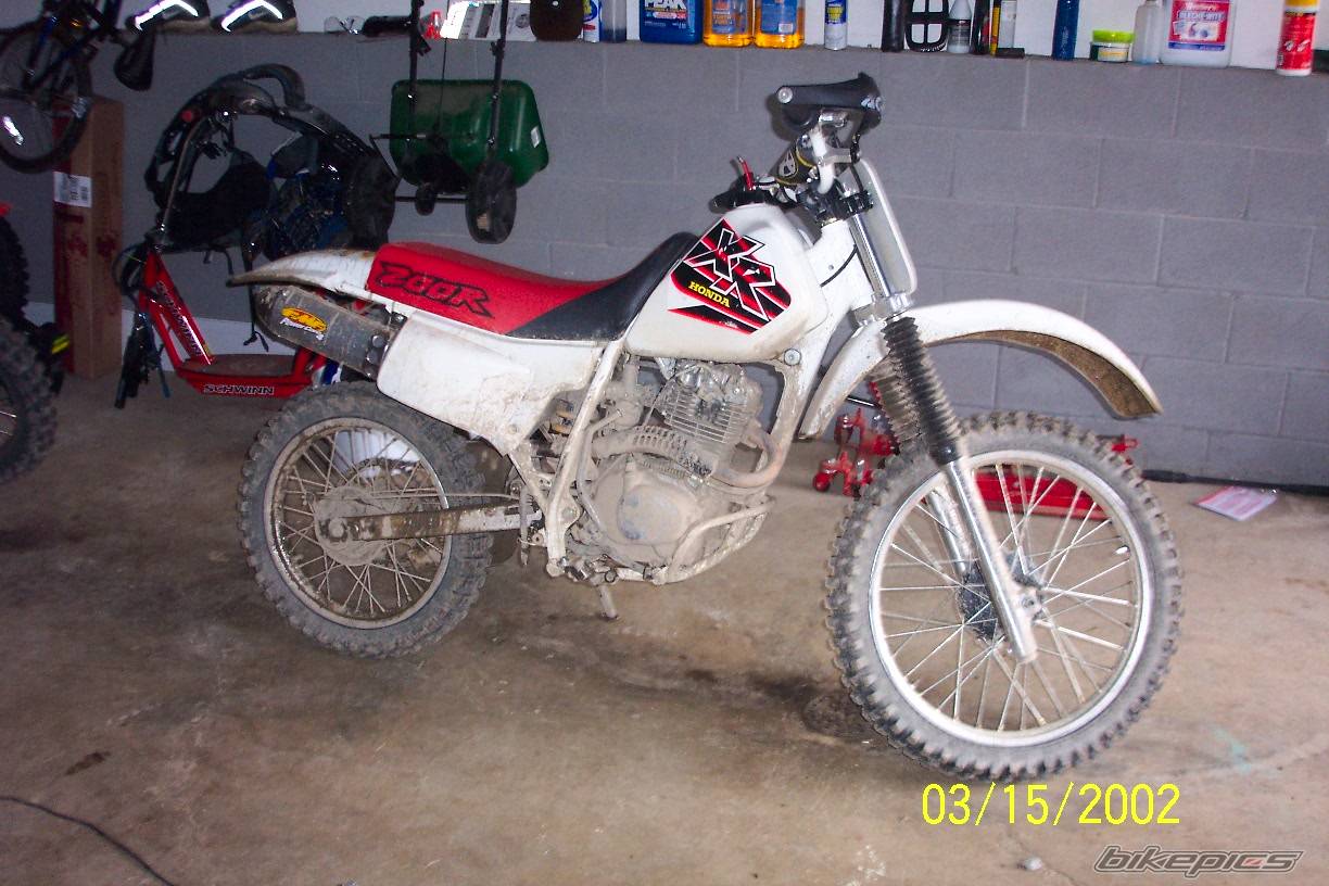 1999 HONDA XR 200 | Picture 183780 motorcycle photo