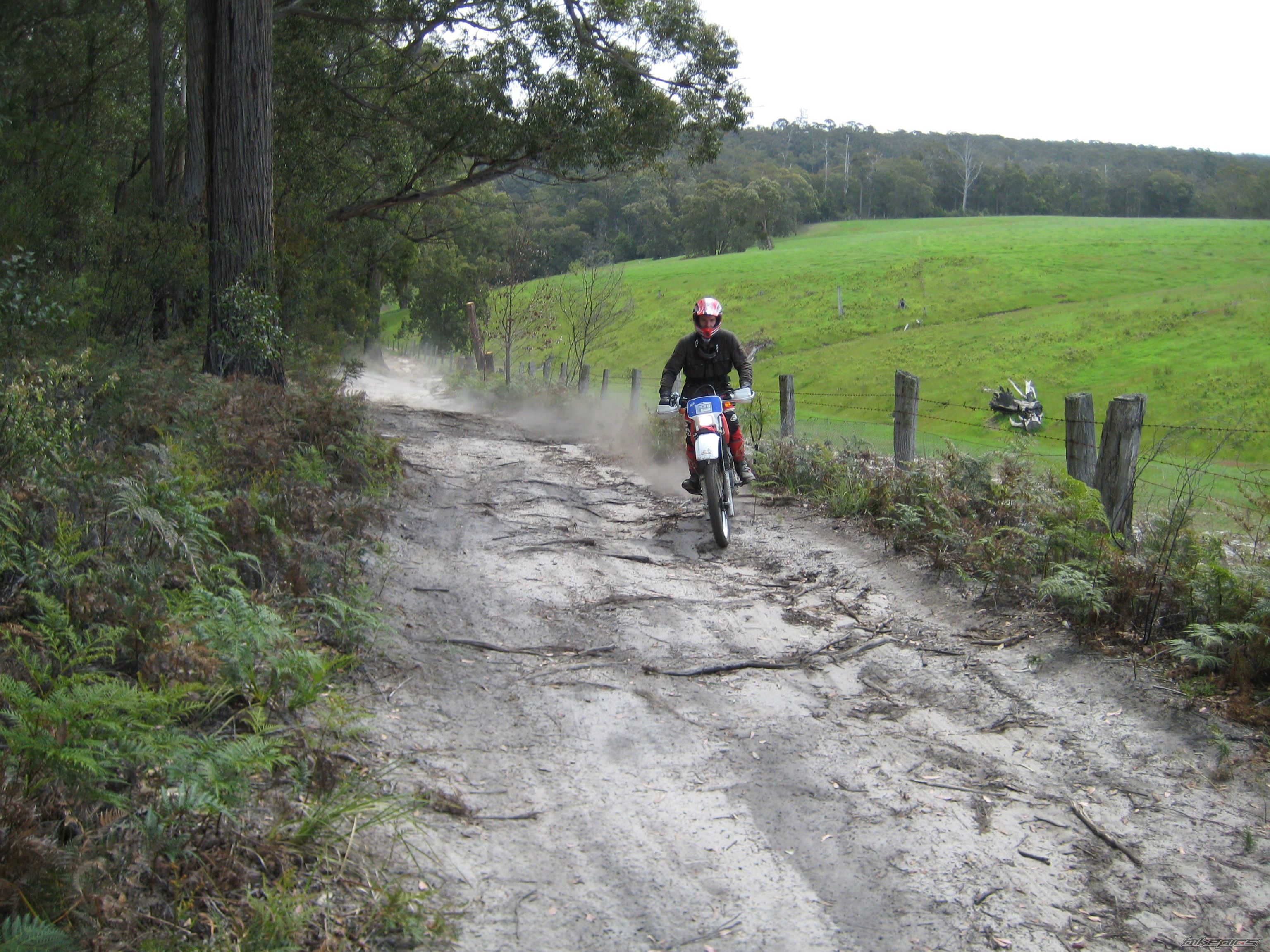 1991 HONDA XR 600 | Picture 1837952 motorcycle photo