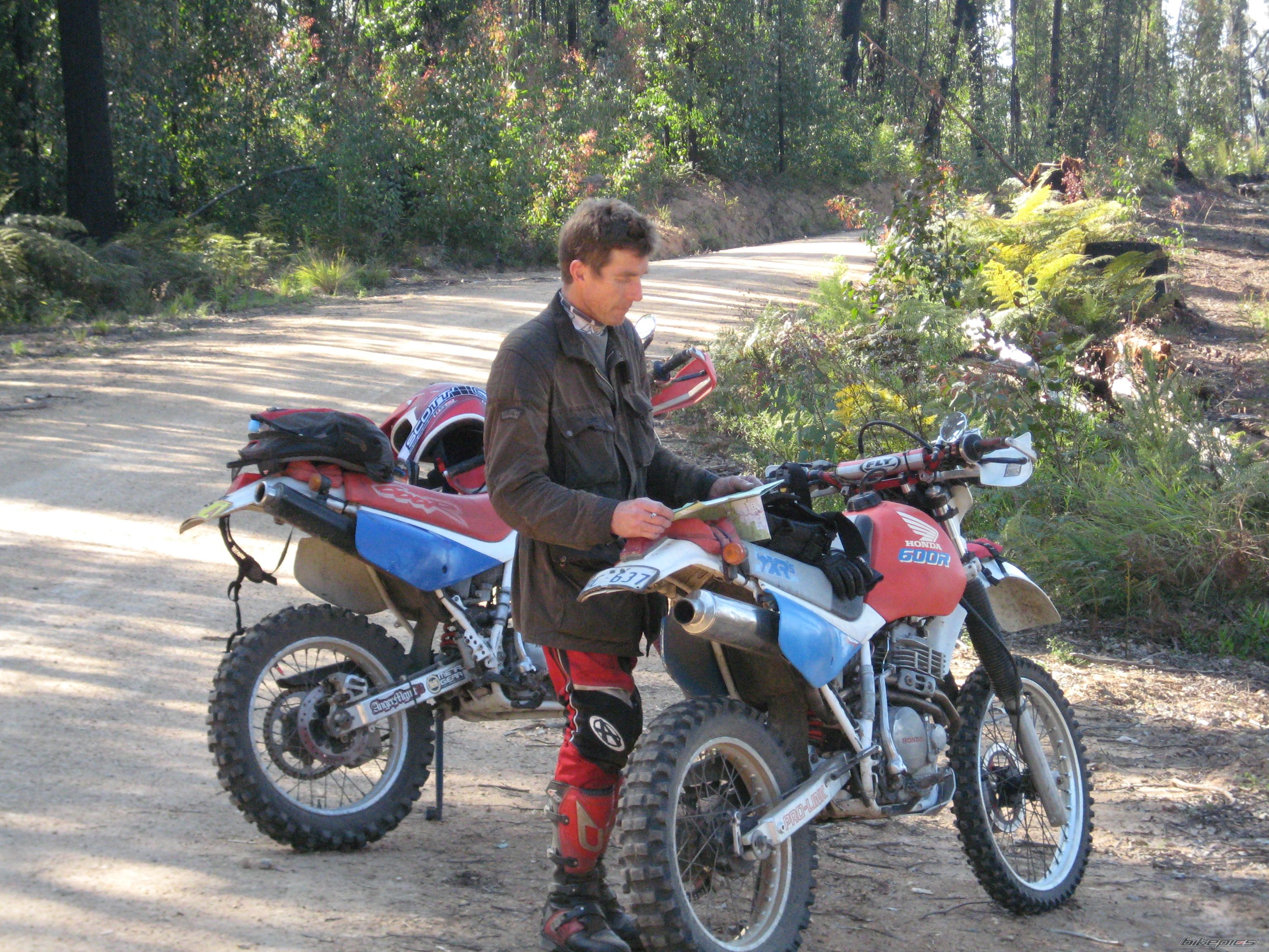 1991 HONDA XR 600 | Picture 1837970 motorcycle photo