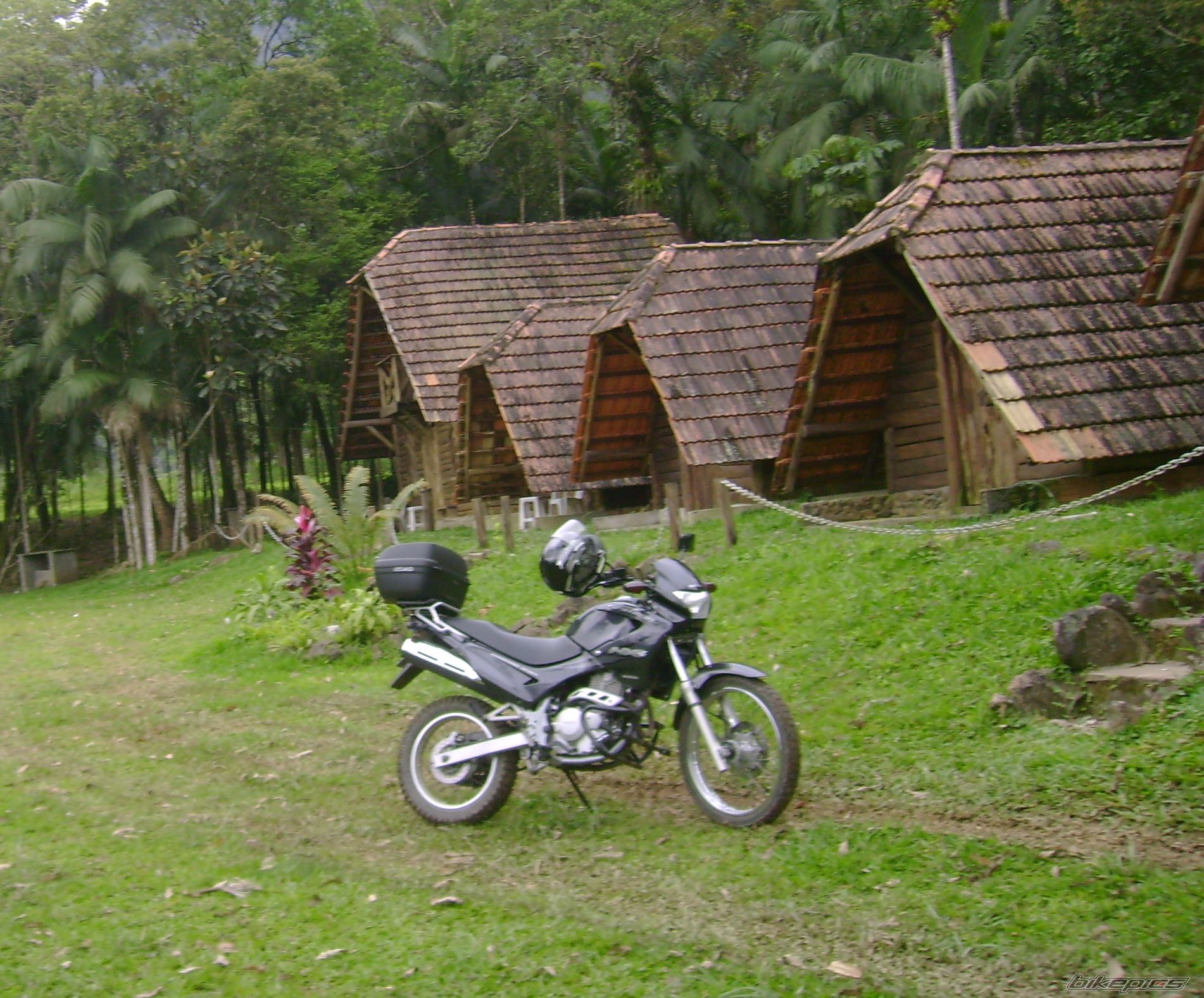 2002 HONDA NX 4 FALCON | Picture 1838298 motorcycle photo