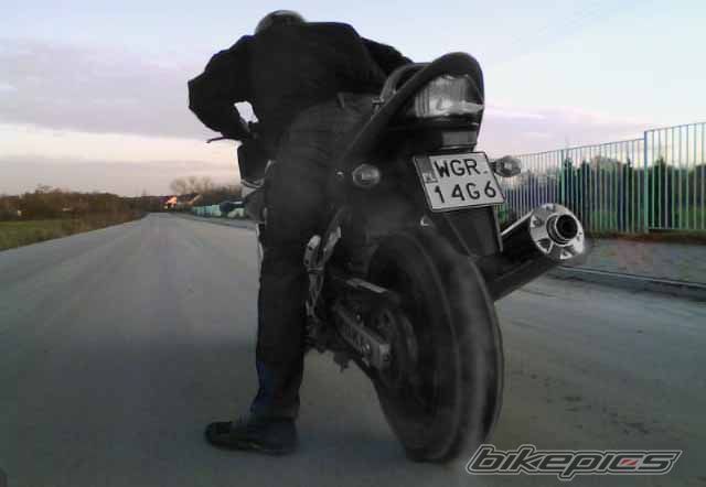 2008 SUZUKI BANDIT 650 | Picture 1838315 motorcycle photo