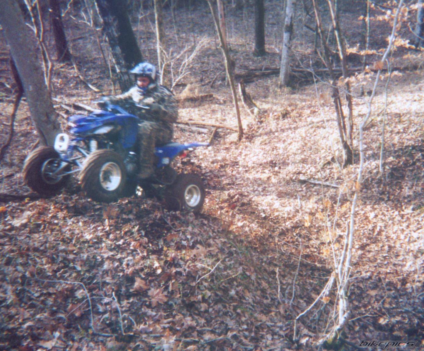 2002 YAMAHA RAPTOR YFM 660 | Picture 18384 motorcycle photo