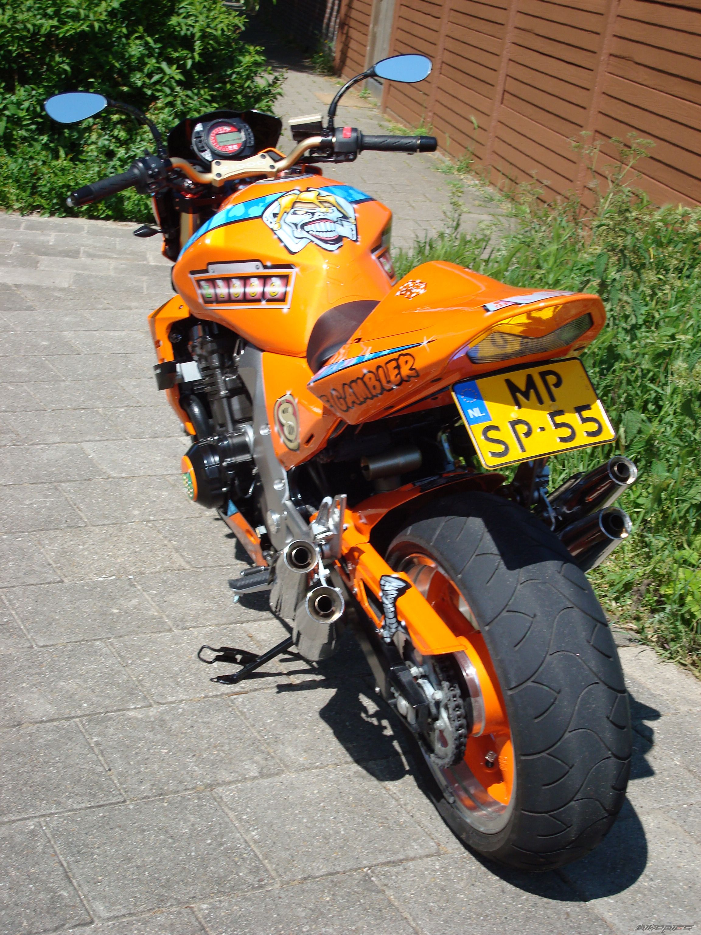 2006 KAWASAKI Z 1000 | Picture 1838751 motorcycle photo