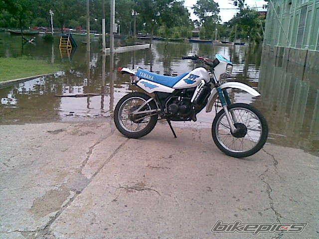 1996 YAMAHA DT 50 | Picture 1838984 motorcycle photo