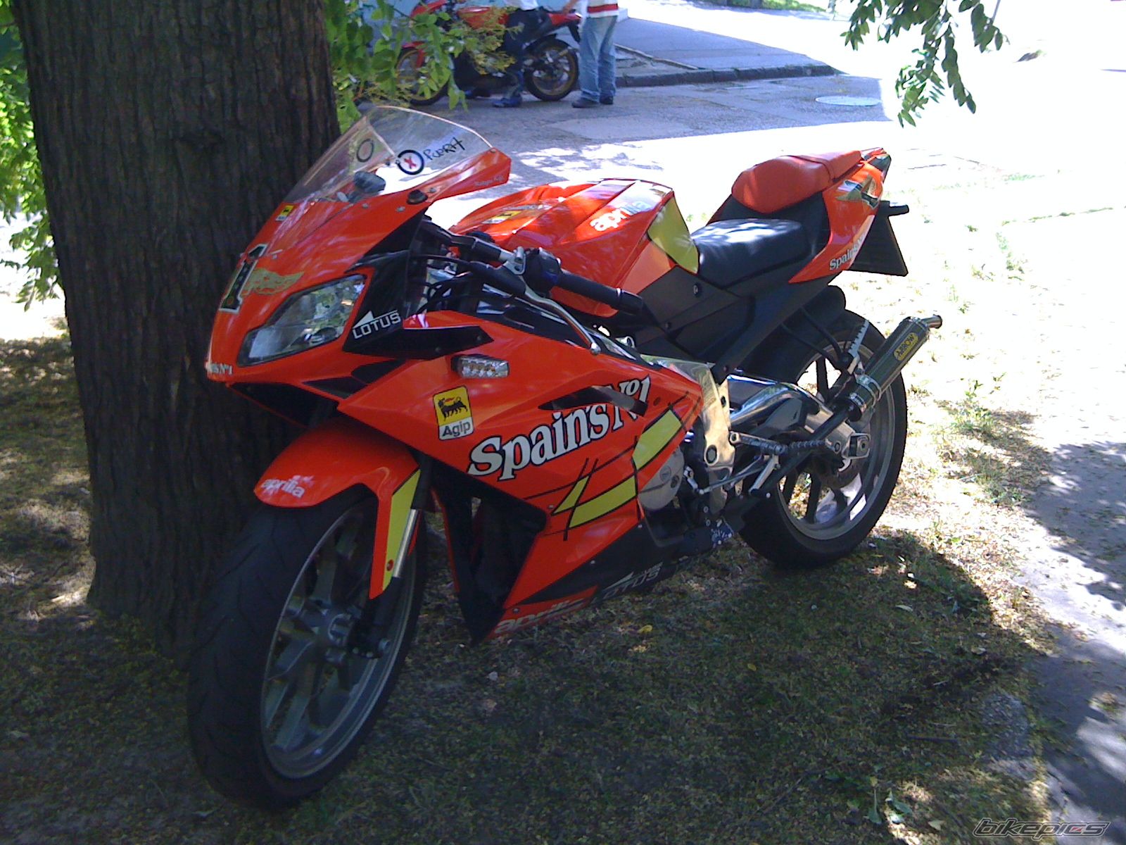2009 APRILIA RS 125 | Picture 1839087 motorcycle photo