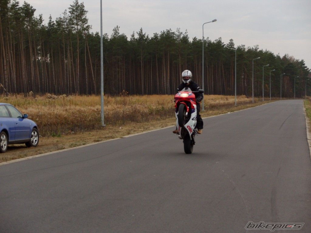 1999 HONDA CBR 600 | Picture 1839940 motorcycle photo