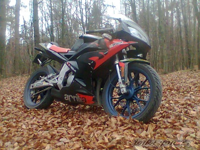 2009 APRILIA RS 50 | Picture 1839980 motorcycle photo