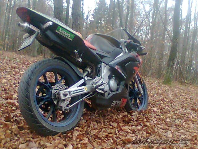 2009 APRILIA RS 50 | Picture 1839981 motorcycle photo