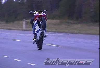 1994 HONDA CBR 600 | Picture 184 motorcycle photo
