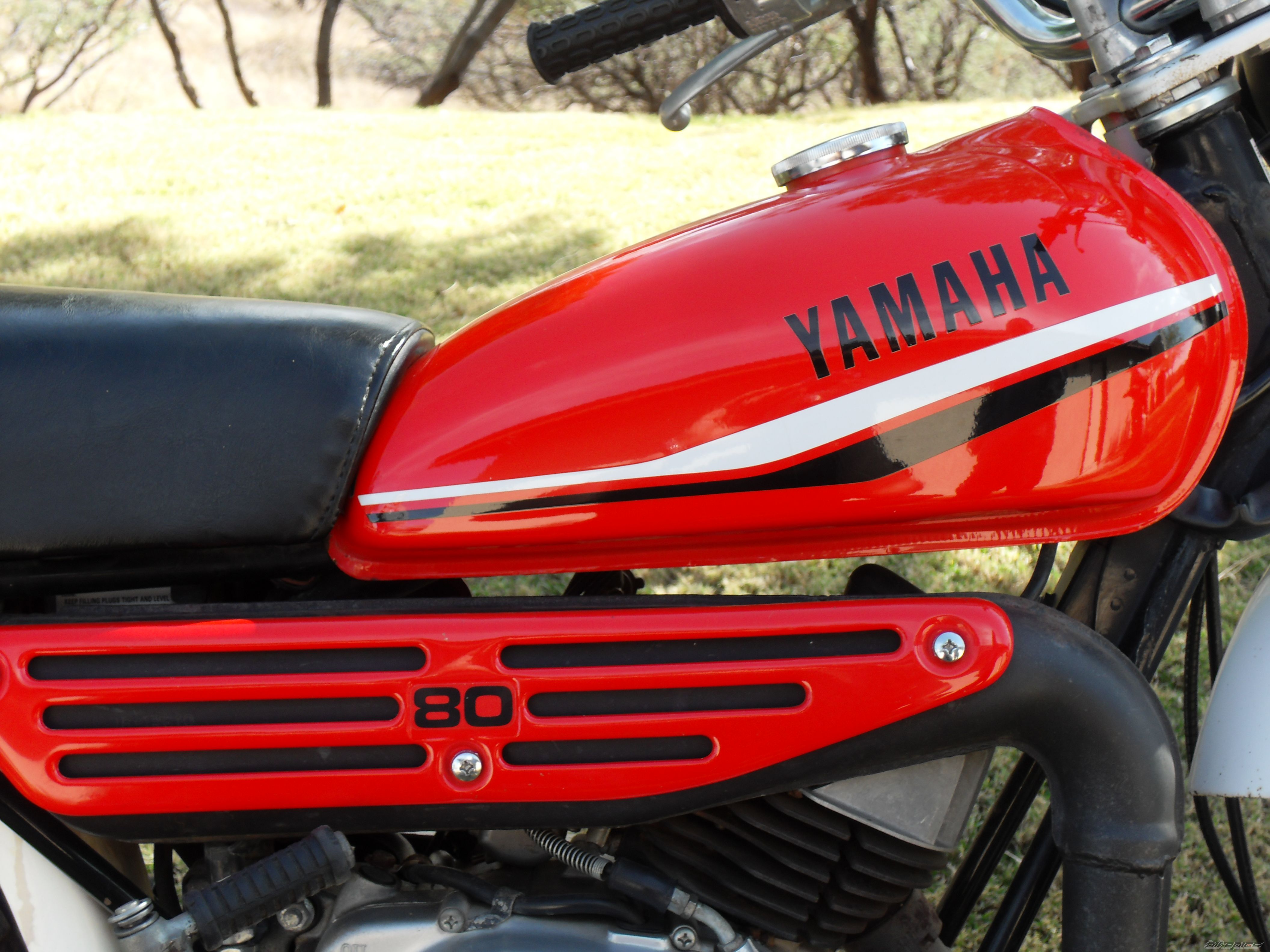 1981 YAMAHA DT 80 | Picture 1840182 motorcycle photo