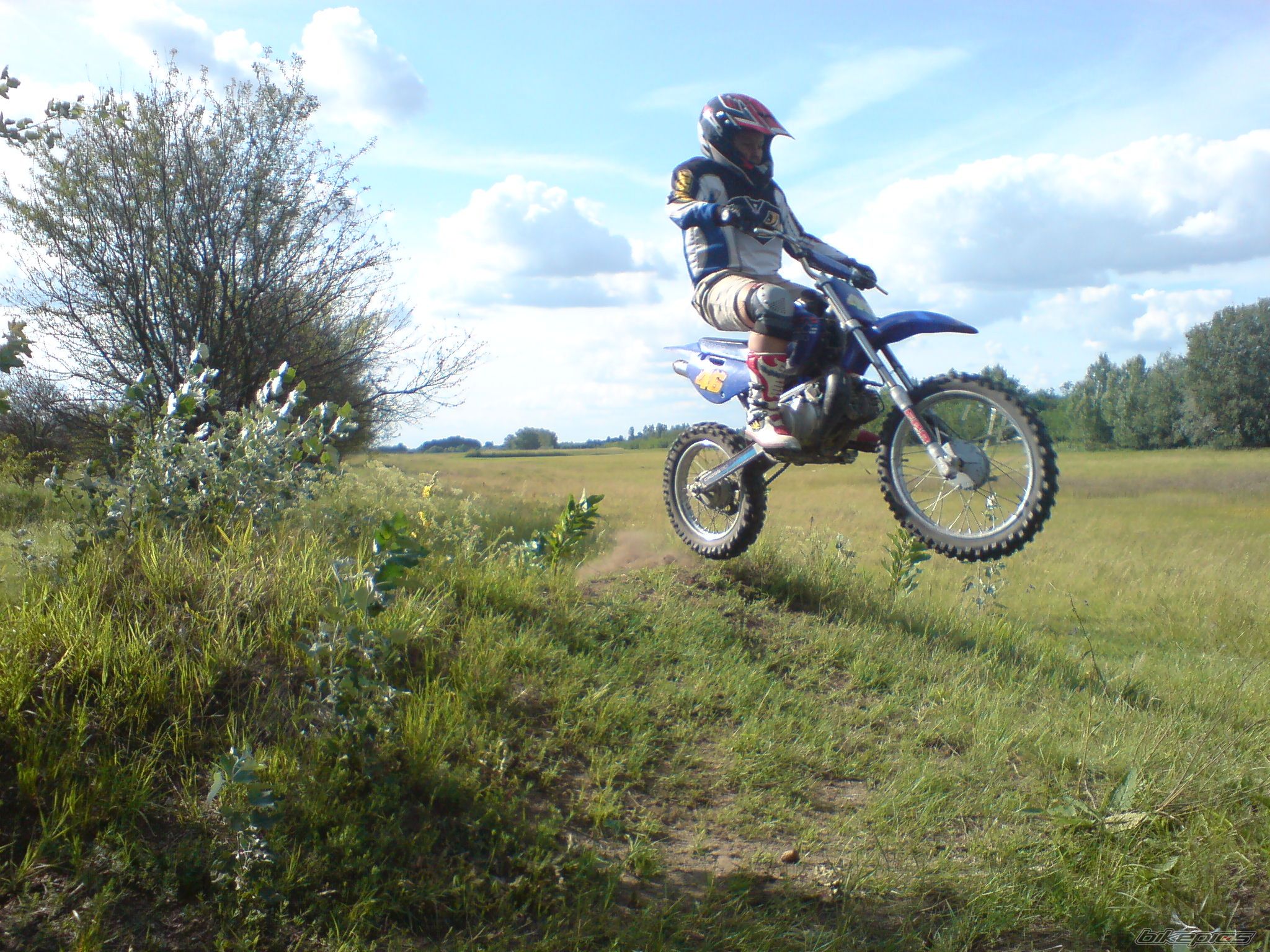 2007 TOMOS MC 80 SENIOR | Picture 1840301 motorcycle photo
