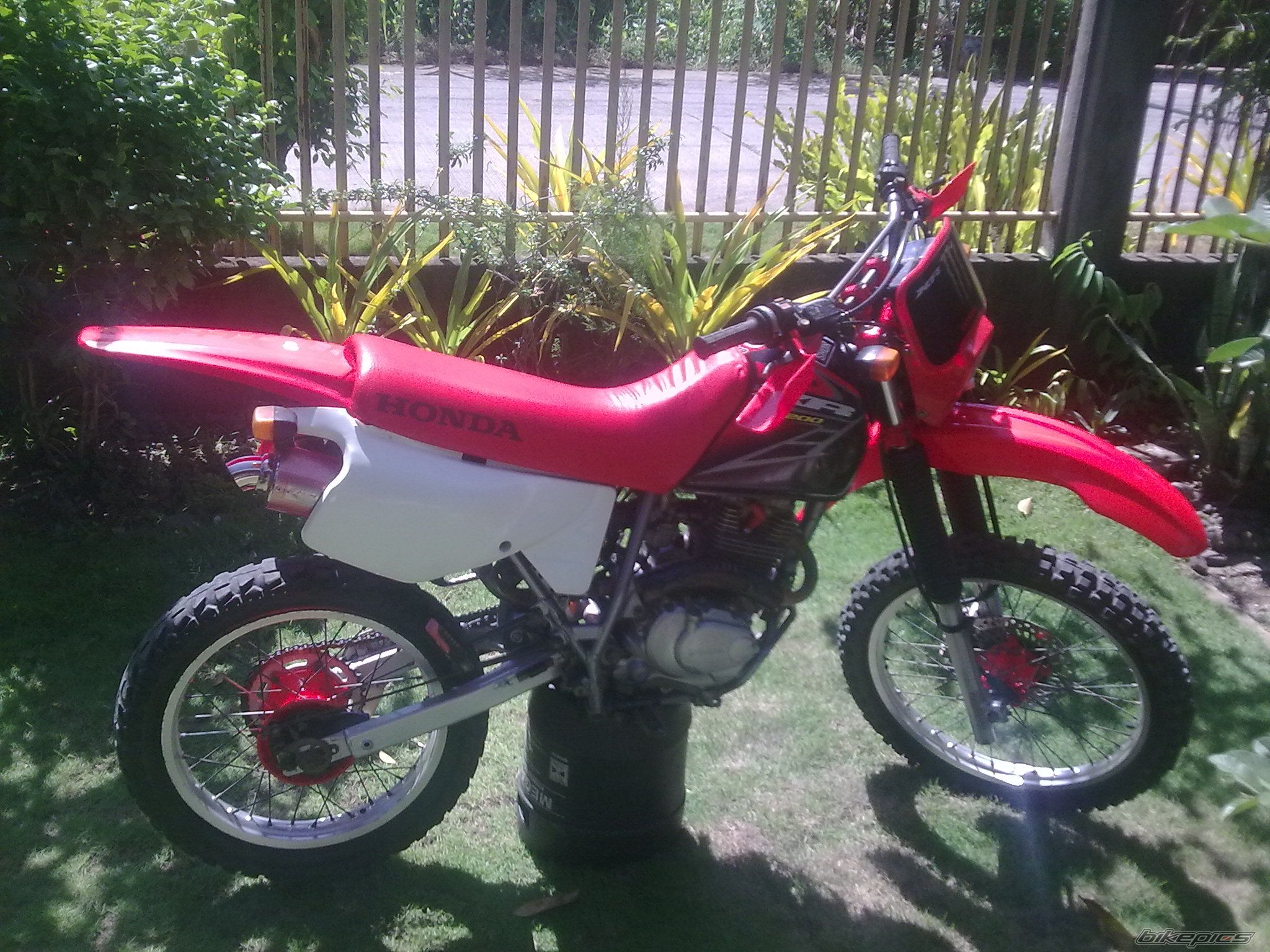 2010 HONDA XR 200 | Picture 1840517 motorcycle photo