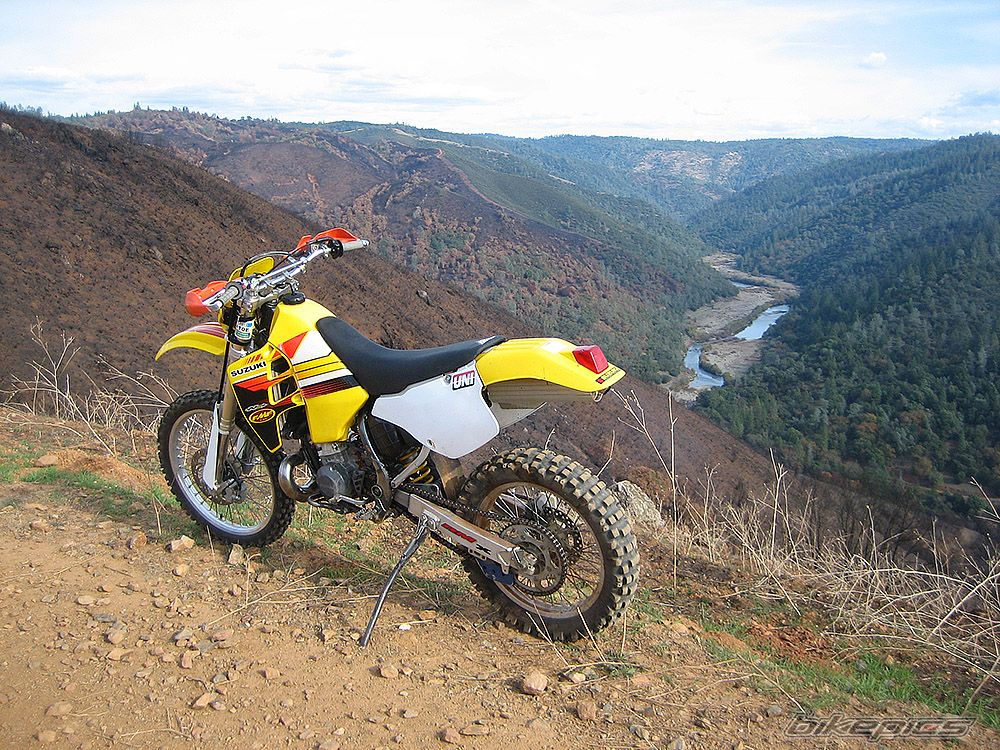 1995 SUZUKI RMX 250 | Picture 1840551 motorcycle photo