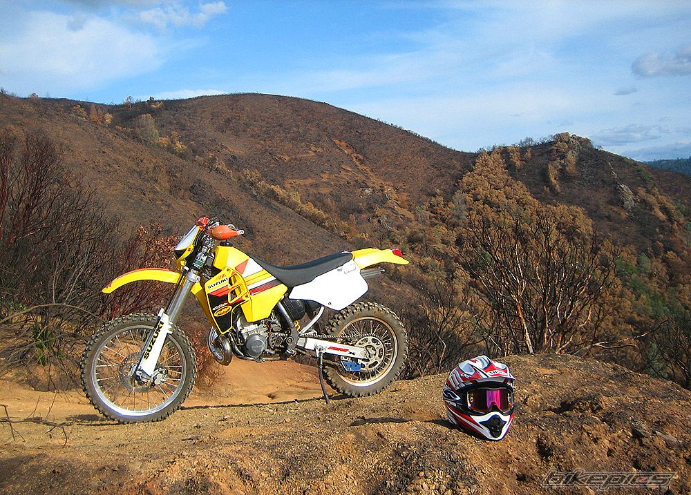 1995 SUZUKI RMX 250 | Picture 1840552 motorcycle photo