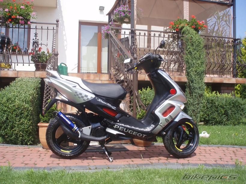2006 PEUGEOT SPEEDFIGHT2 50 | Picture 1840705 motorcycle photo