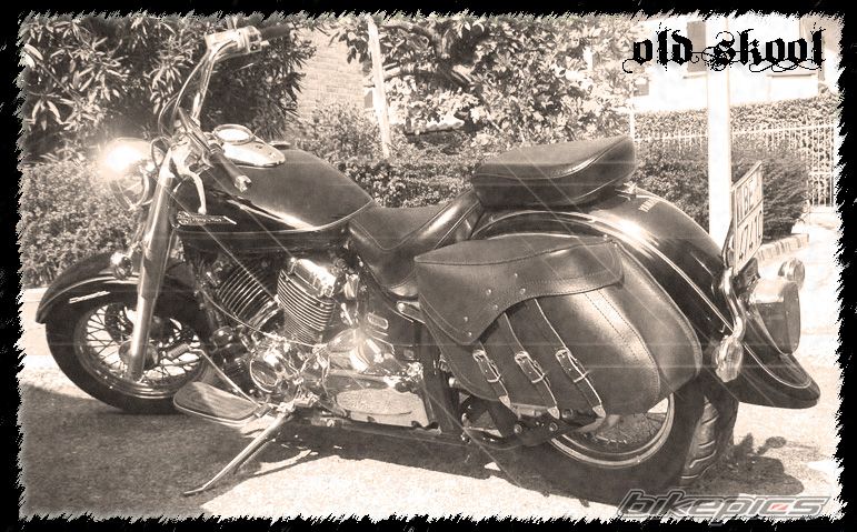 2001 YAMAHA XVS 650 DRAG STAR CLASSIC | Picture 1840896 motorcycle photo
