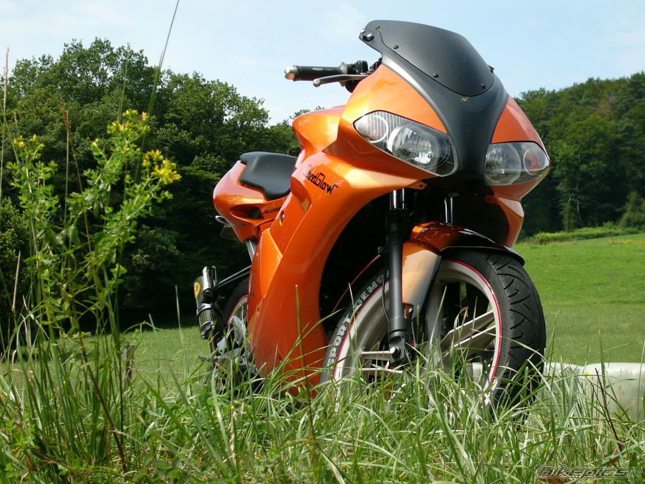 2005 YAMAHA TZR 50 | Picture 1841625 motorcycle photo