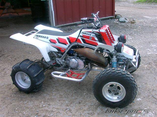 1981 YAMAHA BANSHEE | Picture 184250 motorcycle photo