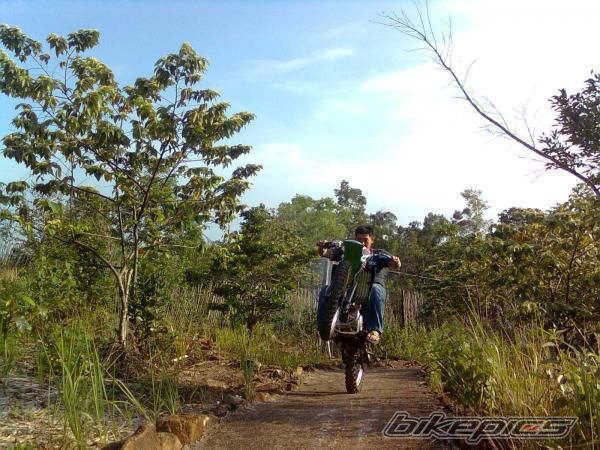 2008 KAWASAKI KMX 125 | Picture 1842915 motorcycle photo