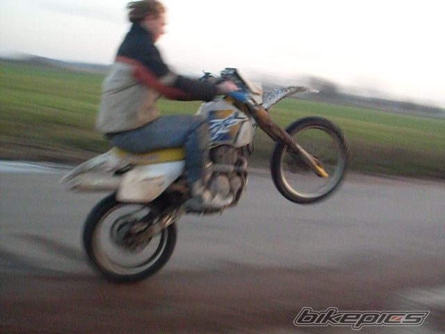 1992 SUZUKI DR 350 | Picture 1843324 motorcycle photo