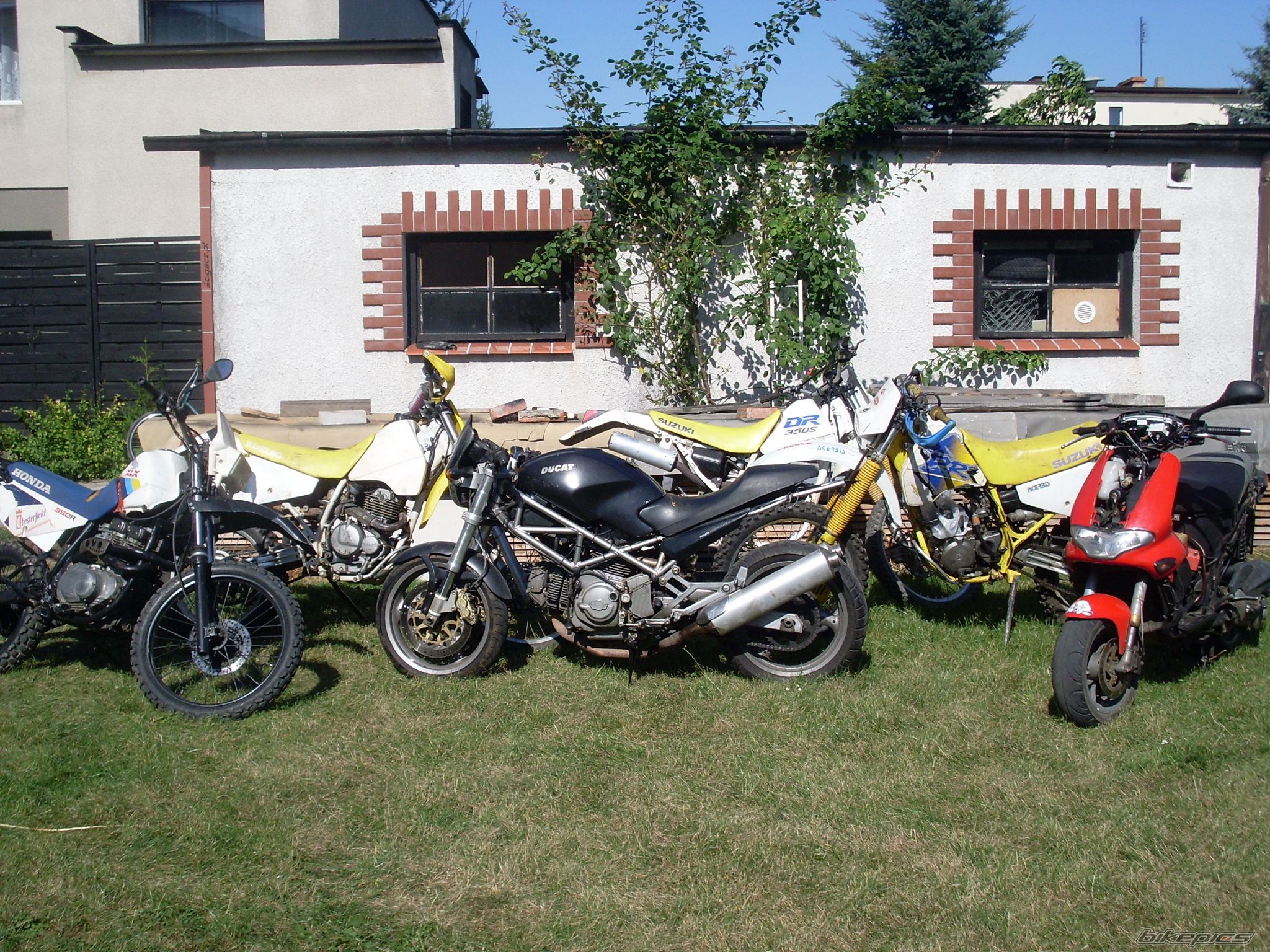    | Picture 1843347 motorcycle photo