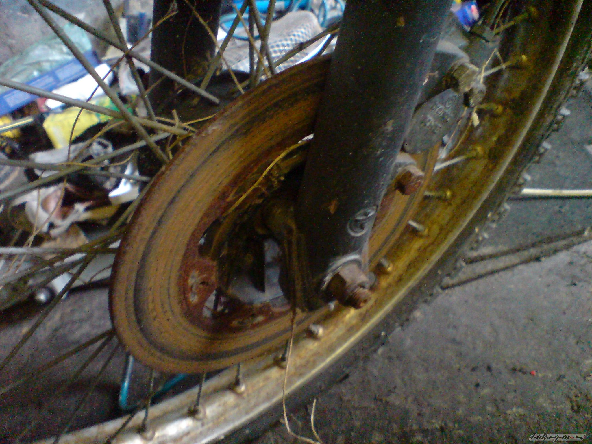    | Picture 1843404 motorcycle photo