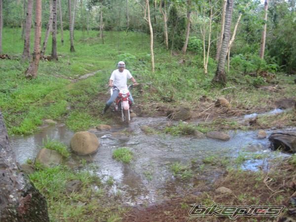 2010 HONDA XRM 110 | Picture 1843559 motorcycle photo