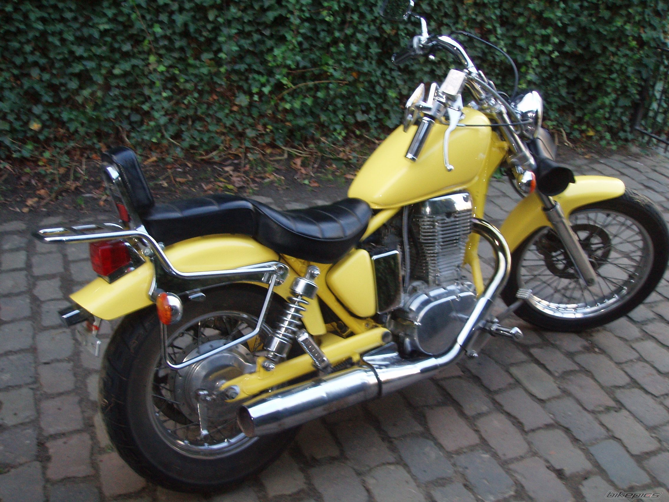 1993 SUZUKI SAVAGE | Picture 1844293 motorcycle photo