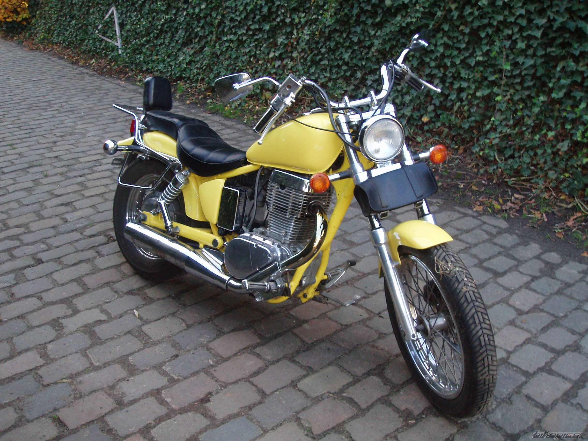 1993 SUZUKI SAVAGE | Picture 1844295 motorcycle photo