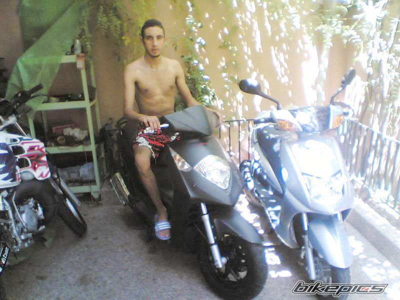 2006 HONDA DYLAN 150 | Picture 1844428 motorcycle photo