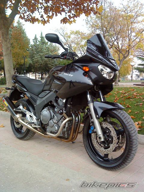 2010 YAMAHA TDM 900 | Picture 1845155 motorcycle photo